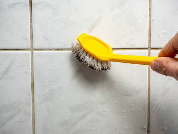 Best Insurance-Related Mold Remediation in Liberty Hill, TX