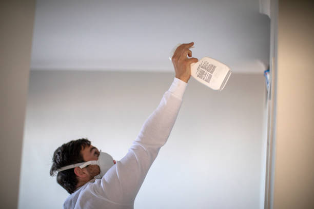 Best Residential Mold Remediation in Liberty Hill, TX