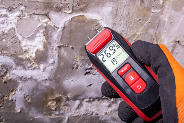 Best Post-Flood Mold Remediation in Liberty Hill, TX