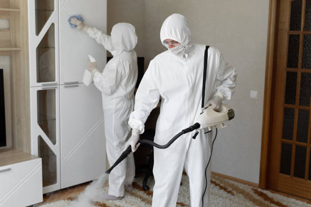 Best Basement Mold Remediation in Liberty Hill, TX