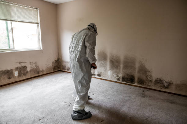  Liberty Hill, TX Mold Removal Pros